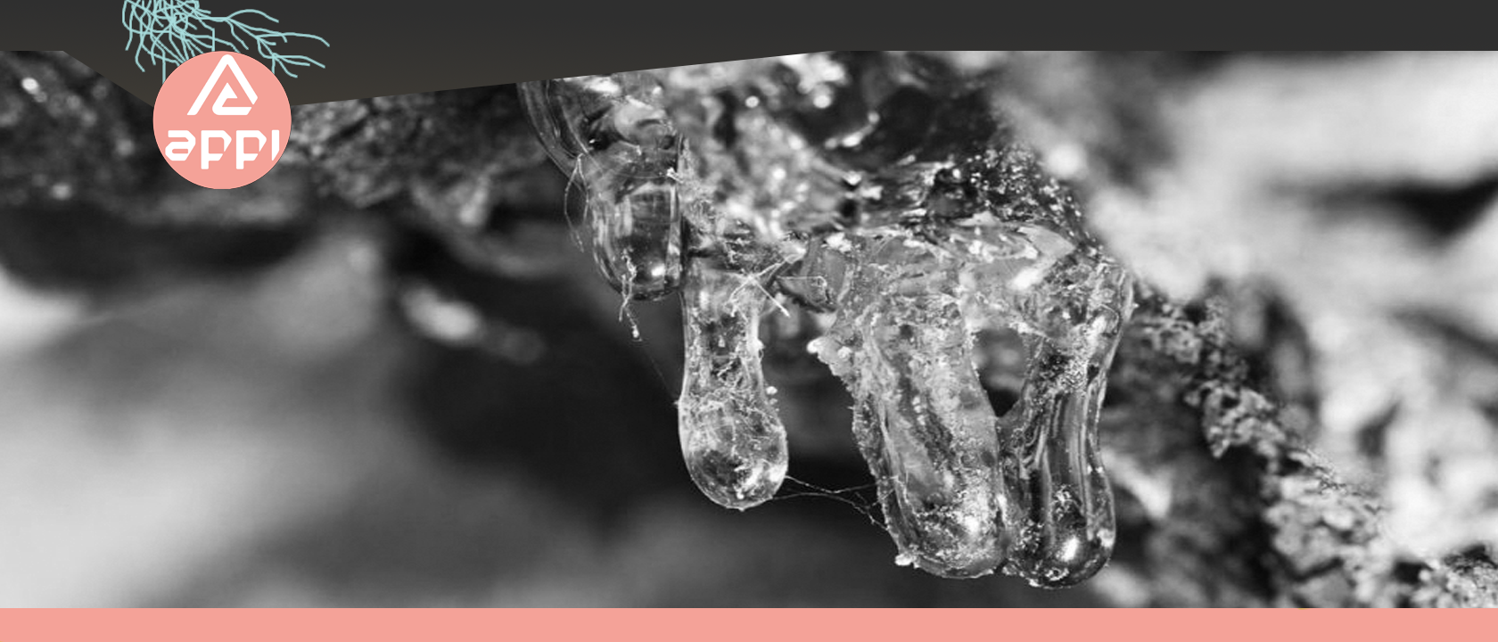 Featured Image Slider 1